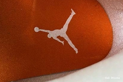 “Orange Jordan 545 Air CT8527- 4 EasyMatch 9373 Metallic” 1116